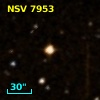 NSV  7953
