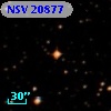 NSV 20877