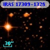 IRAS 17309-1328