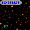 PLX 3989.01
