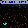 IDS 17407-1317 B