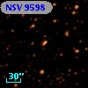 NSV  9598