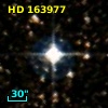 HD 163977