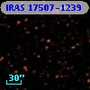 IRAS 17507-1239