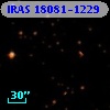 IRAS 18081-1229