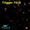 Trigger  7918
