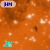 [HMS93] J181846.66-134700.0