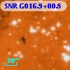 SNR G016.9+00.8