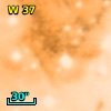 W 37