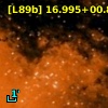 [L89b]  16.995+00.868
