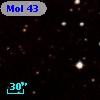 Mol  43