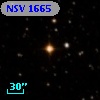 NSV  1665