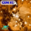 GUM 85