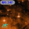 RFS  247