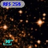 RFS  258