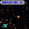 [KWA92] IRS 25