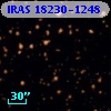 IRAS 18230-1248