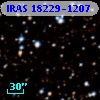 IRAS 18229-1207