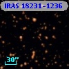 IRAS 18231-1236