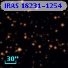 IRAS 18231-1254