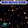 IRAS 18231-1310