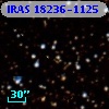 IRAS 18236-1125