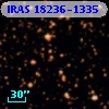 IRAS 18236-1335