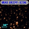 IRAS 18237-1236