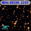 IRAS 18239-1237
