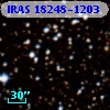 IRAS 18248-1203