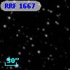 RRF 1667