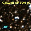 Caswell CH3OH 019.61-00.23