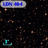 LDN  404