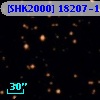 [SHK2000] 18207-1311