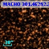 MACHO 301.46282.3402