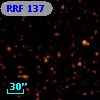 RRF  137