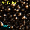 V* TV Sct
