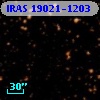 IRAS 19021-1203
