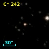 C*  242