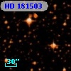 HD 181503