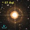 *  37 Aql