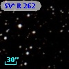 SV* R   262