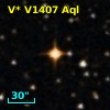 V* V1407 Aql