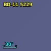 BD-11  5229