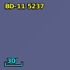 BD-11  5237