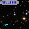 NSV 16183