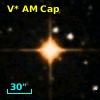 V* AM Cap