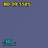 BD-09  5585