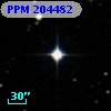 PPM 204482