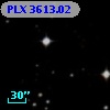 PLX 3613.02